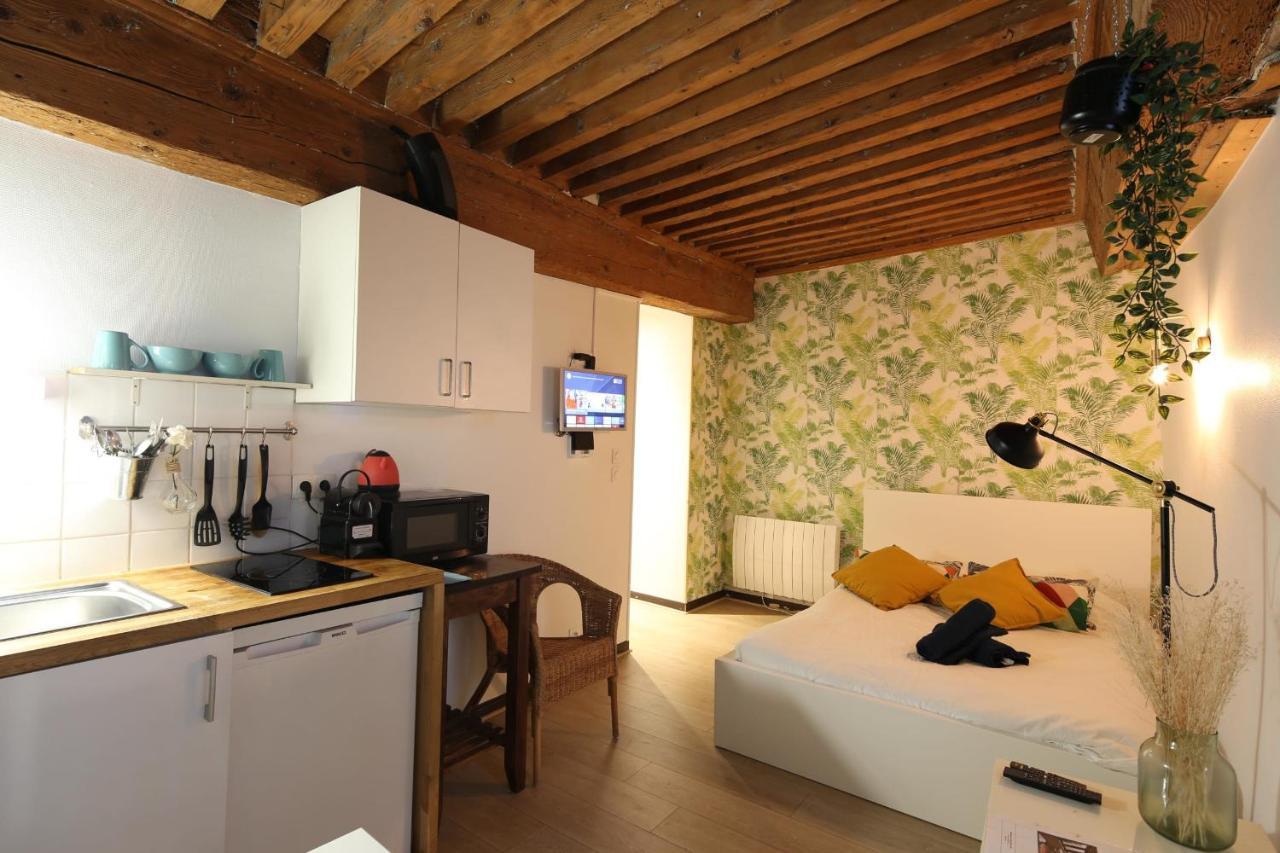 Charming Studio Centre Ville De Lyon Dış mekan fotoğraf