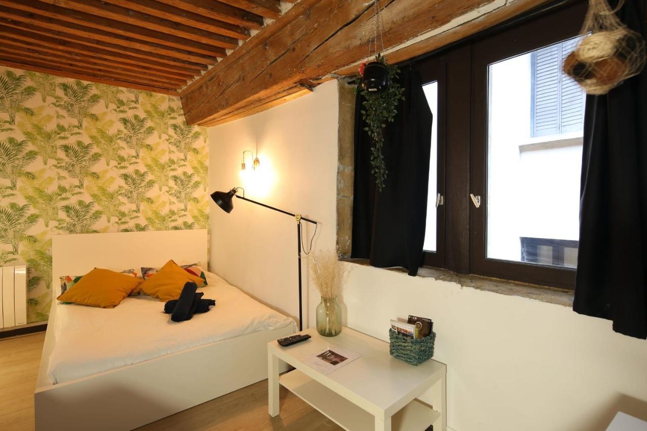 Charming Studio Centre Ville De Lyon Dış mekan fotoğraf